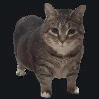cat animated custom crosshair