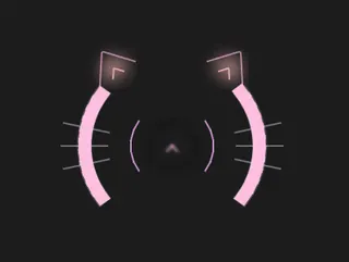 生气猫 弹药显示 black custom crosshair