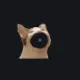 POP CAT orange custom crosshair