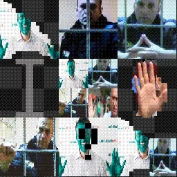 Aleksei Navalnyy mouse cursor