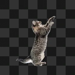 CURSOR DE GATO