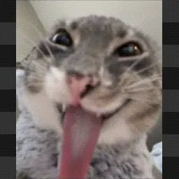 freaky cat mouse cursor
