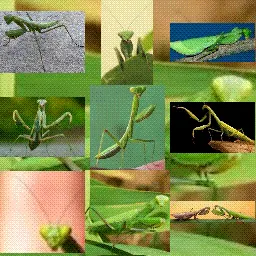 Mantis mouse cursor